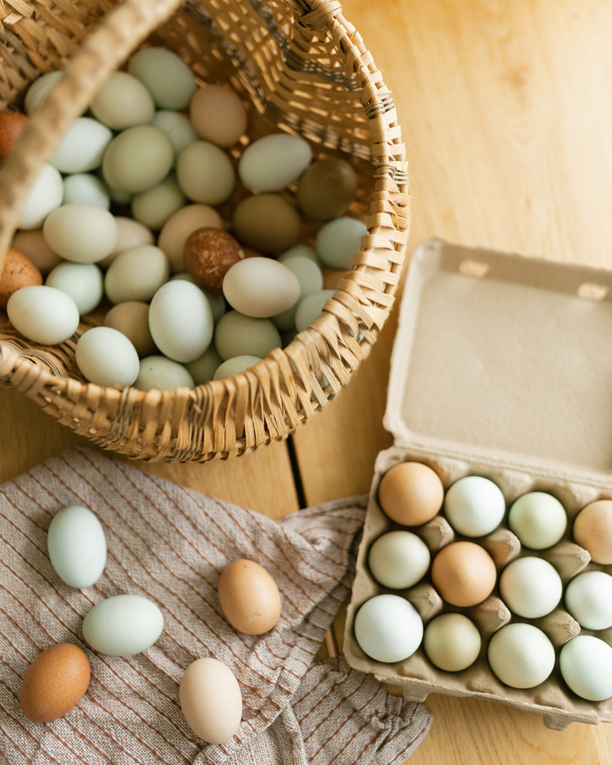 Organic Pasture Raised Eggs
