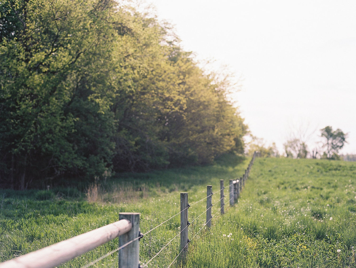 Regenerative farm 