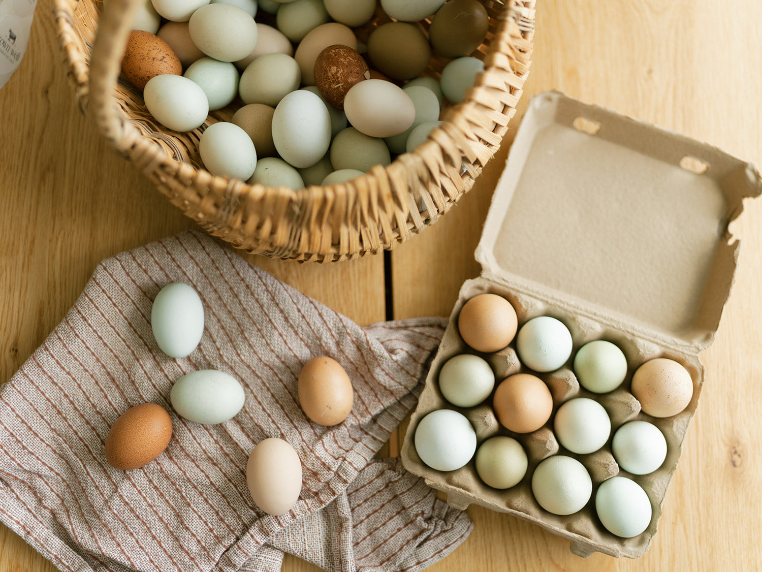 Pasture-Raised Chicken