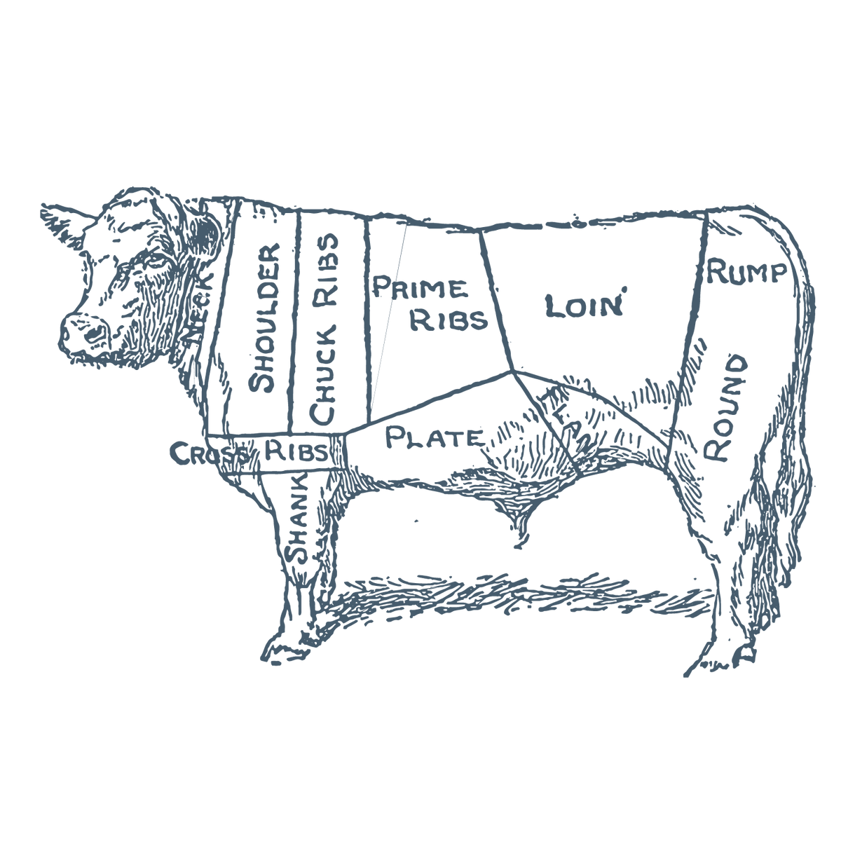 Beef Heart