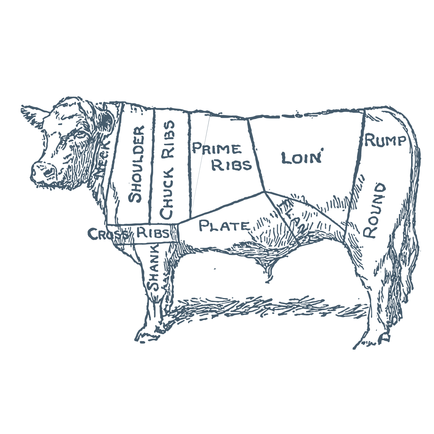 Beef Heart