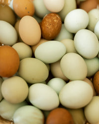 Organic Pasture Raised Eggs